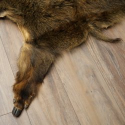 Peau de sanglier Peau de sanglier sauvage Couenne de sanglier Tapis de sol Longueur 180 cm 87.6.41