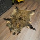 Peau de sanglier Peau de sanglier sauvage Couenne de...