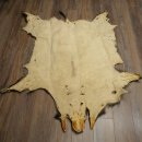 Peau de sanglier Peau de sanglier sauvage Couenne de sanglier Tapis de sol Longueur 180 cm 87.6.41