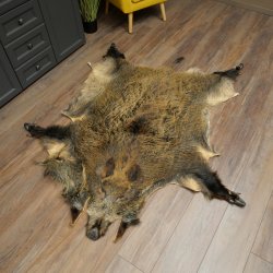 Peau de sanglier Peau de sanglier sauvage Couenne de sanglier Tapis de sol Longueur 180 cm 87.6.41
