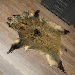 Peau de sanglier Peau de sanglier sauvage Couenne de sanglier Tapis de sol Longueur 180 cm 87.6.41