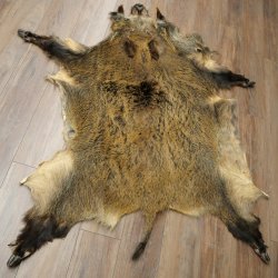 Peau de sanglier Peau de sanglier sauvage Couenne de sanglier Tapis de sol Longueur 180 cm 87.6.41
