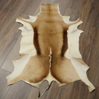 Tappeto in pelle di springbok, pelle di springbok africana, tappeto in pelle animale, lunghezza 132 cm