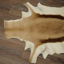Tappeto in pelle di springbok, pelle di springbok africana, tappeto in pelle animale, lunghezza 132 cm
