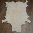 Tappeto in pelle di springbok, pelle di springbok africana, tappeto in pelle animale, lunghezza 132 cm