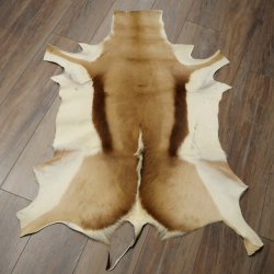 Tappeto in pelle di springbok, pelle di springbok africana, tappeto in pelle animale, lunghezza 132 cm