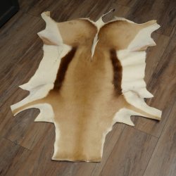 Tappeto in pelle di springbok, pelle di springbok africana, tappeto in pelle animale, lunghezza 132 cm