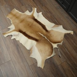 Tappeto in pelle di springbok, pelle di springbok africana, tappeto in pelle animale, lunghezza 132 cm