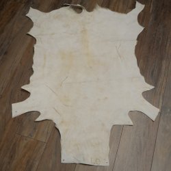 Tappeto in pelle di springbok, pelle di springbok africana, tappeto in pelle animale, lunghezza 132 cm