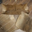 Warzenschwein / Nyala / Gnu 3 er Set Felle Fell Haut Vorleger Schwein Afrika Teppich für Bastler