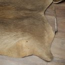 Warzenschwein / Nyala / Gnu 3 er Set Felle Fell Haut Vorleger Schwein Afrika Teppich für Bastler