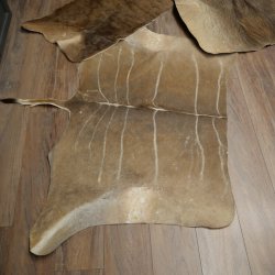 Warzenschwein / Nyala / Gnu 3 er Set Felle Fell Haut Vorleger Schwein Afrika Teppich für Bastler