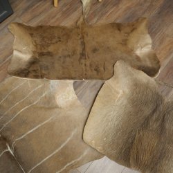 Warzenschwein / Nyala / Gnu 3 er Set Felle Fell Haut Vorleger Schwein Afrika Teppich für Bastler