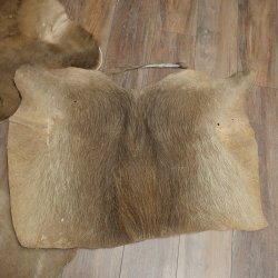 Warzenschwein / Nyala / Gnu 3 er Set Felle Fell Haut Vorleger Schwein Afrika Teppich für Bastler