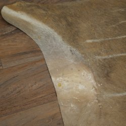 Warzenschwein / Nyala / Gnu 3 er Set Felle Fell Haut Vorleger Schwein Afrika Teppich für Bastler