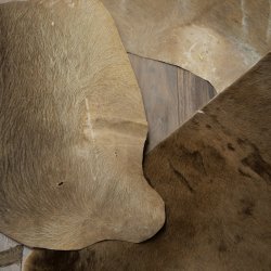 Warzenschwein / Nyala / Gnu 3 er Set Felle Fell Haut Vorleger Schwein Afrika Teppich für Bastler