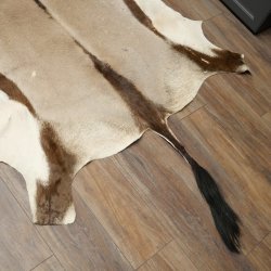 Oryxfell Oryx (Oryx gazella) Fell Vorleger Antilope Afrika Länge 205 cm