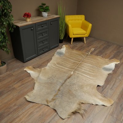 Tapis en peau de koudou, peau de koudou, antilope, Afrique, longueur 225 cm