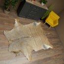 Tapis en peau de koudou, peau de koudou, antilope, Afrique, longueur 225 cm