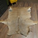 Tapis en peau de koudou, peau de koudou, antilope, Afrique, longueur 225 cm