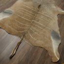 Tapis en peau de koudou, peau de koudou, antilope, Afrique, longueur 225 cm