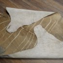 Tapis en peau de koudou, peau de koudou, antilope, Afrique, longueur 225 cm