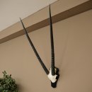 Oryx (Oryx gazella) Horn length 89 cm Antelope Oryx Africa Skull trophy Trophy plaque 88.3.114
