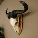 Gnu (Striped Gnu) Skull Trophy, Height 59 cm, African Skull Trophy, Trophy Shield 88.9.50