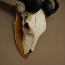 Gnu (Striped Gnu) Skull Trophy, Height 59 cm, African Skull Trophy, Trophy Shield 88.9.50