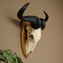 Gnu (Striped Gnu) Skull Trophy, Height 59 cm, African Skull Trophy, Trophy Shield 88.9.50