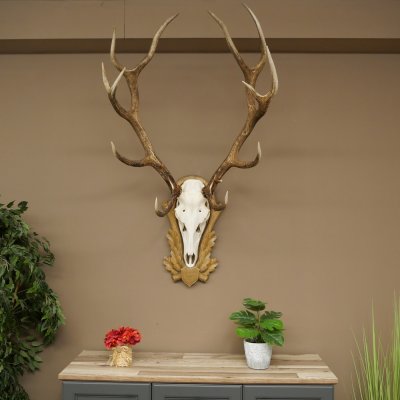 Gewei van een edelhert, ca. 14-ender, hoogte 125 cm, hertengewei op een bewerkt trofee-bord