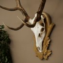 Gewei van een edelhert, ca. 14-ender, hoogte 125 cm, hertengewei op een bewerkt trofee-bord