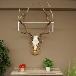 Gewei van een edelhert, ca. 14-ender, hoogte 125 cm, hertengewei op een bewerkt trofee-bord