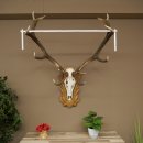 Rothirschgeweih 12 ender Hirsch Deko Medaille...