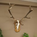 Cuernos de ciervo rojo, ciervo de 12 puntas, medalla decorativa en color bronce, altura 117 cm, cuernos de ciervo sobre un escudo de trofeo tallado