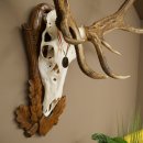 Rothirschgeweih ung. 14 ender Hirsch Medaille bronzefarben Höhe 112 cm Hirschgeweih Geweih auf geschnitztem Trophäenschild