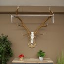 Rothirschgeweih 14 ender Hirsch Medaille silberfarben...