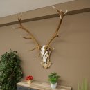 Rothirschgeweih 14 ender Hirsch Medaille silberfarben Höhe 135 cm Hirschgeweih Geweih auf geschnitztem Trophäenschild