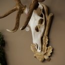 Rothirschgeweih 14 ender Hirsch Medaille silberfarben Höhe 135 cm Hirschgeweih Geweih auf geschnitztem Trophäenschild