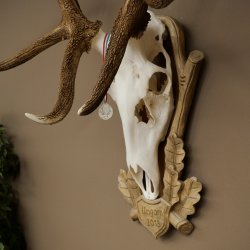 Rothirschgeweih 14 ender Hirsch Medaille silberfarben Höhe 135 cm Hirschgeweih Geweih auf geschnitztem Trophäenschild