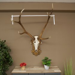 Geweien van een 10-ender edelhert, bronzen medaille, hoogte 135 cm, hertengeweien op een gebeeldhouwd trofeeschild