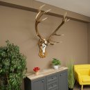 Rothirschgeweih 14 ender Hirsch Medaille silberfarben Höhe 127 cm Hirschgeweih Geweih auf geschnitztem Trophäenschild