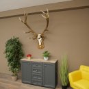 Rothirschgeweih 14 ender Hirsch Medaille silberfarben Höhe 127 cm Hirschgeweih Geweih auf geschnitztem Trophäenschild