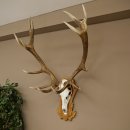 Rothirschgeweih 14 ender Hirsch Medaille silberfarben Höhe 127 cm Hirschgeweih Geweih auf geschnitztem Trophäenschild