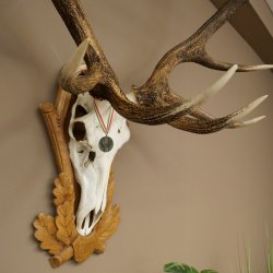 Rothirschgeweih 14 ender Hirsch Medaille silberfarben Höhe 127 cm Hirschgeweih Geweih auf geschnitztem Trophäenschild