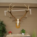 Rothirschgeweih ung. 16 ender Hirsch Medaille goldfarben...