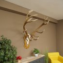 Bois de cerf rouge, cerf denviron 16 cors, médaille dorée, hauteur 124 cm, bois de cerf montés sur un socle sculpté