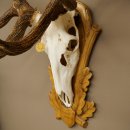 Bois de cerf rouge, cerf denviron 16 cors, médaille dorée, hauteur 124 cm, bois de cerf montés sur un socle sculpté