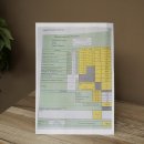 Bois de cerf rouge, cerf denviron 16 cors, CIC 196,36 IP, hauteur 107 cm, bois de cerf