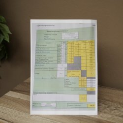 Bois de cerf rouge, cerf denviron 16 cors, CIC 196,36 IP, hauteur 107 cm, bois de cerf